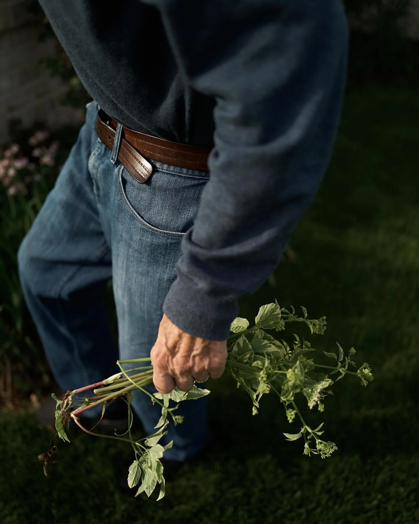 Pickin&rsquo; weeds 🌱🌱🌱