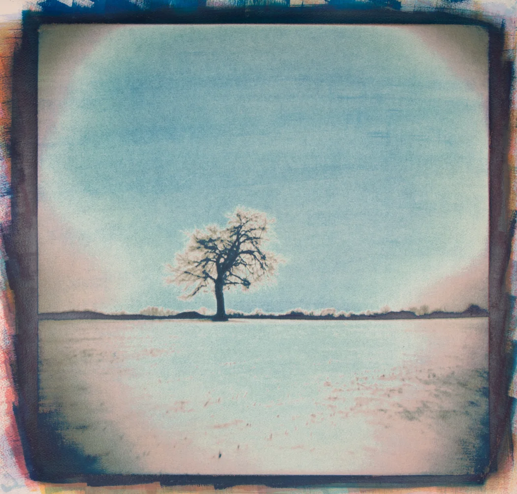 Tree in Field of Snow