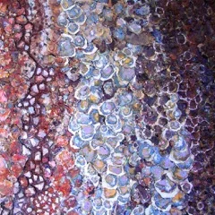Equinox (detail)