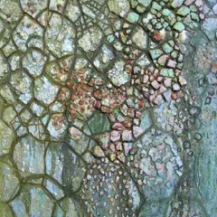 Reef (detail)