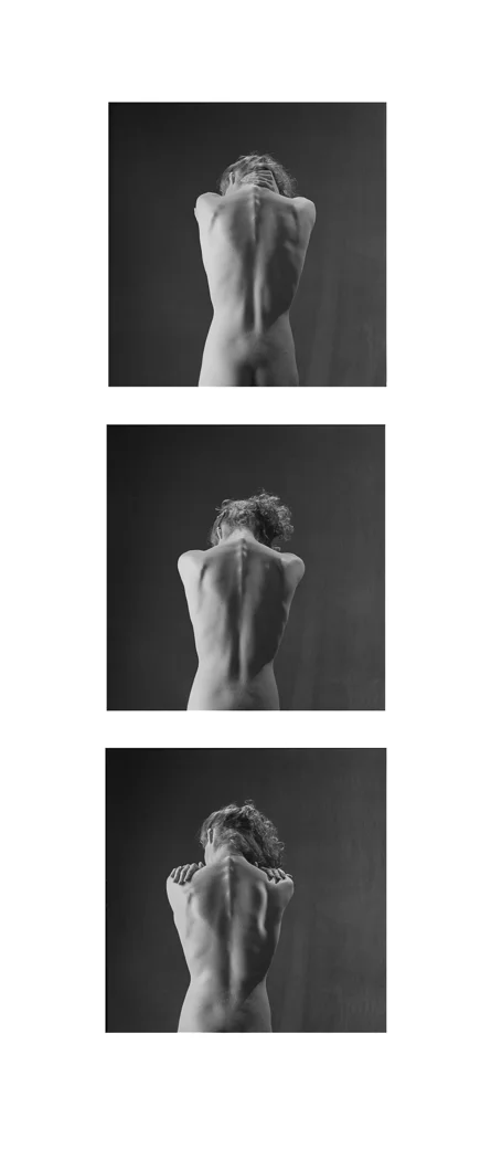 Scapula Triptych
