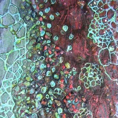 Shelly Hehenberger