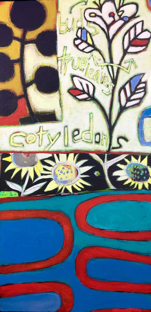 Fun with Cotyledons