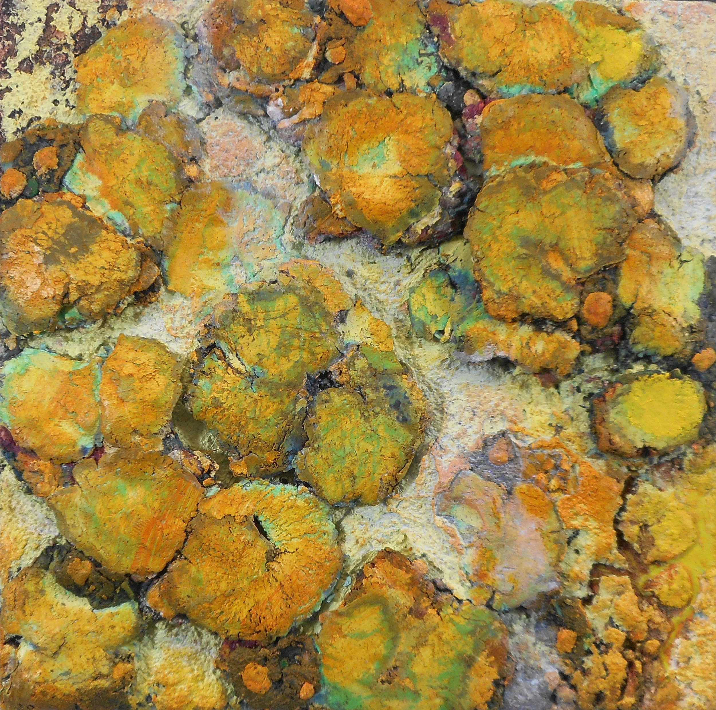 Golden Reef Oil, cold wax medium 7x7 $125