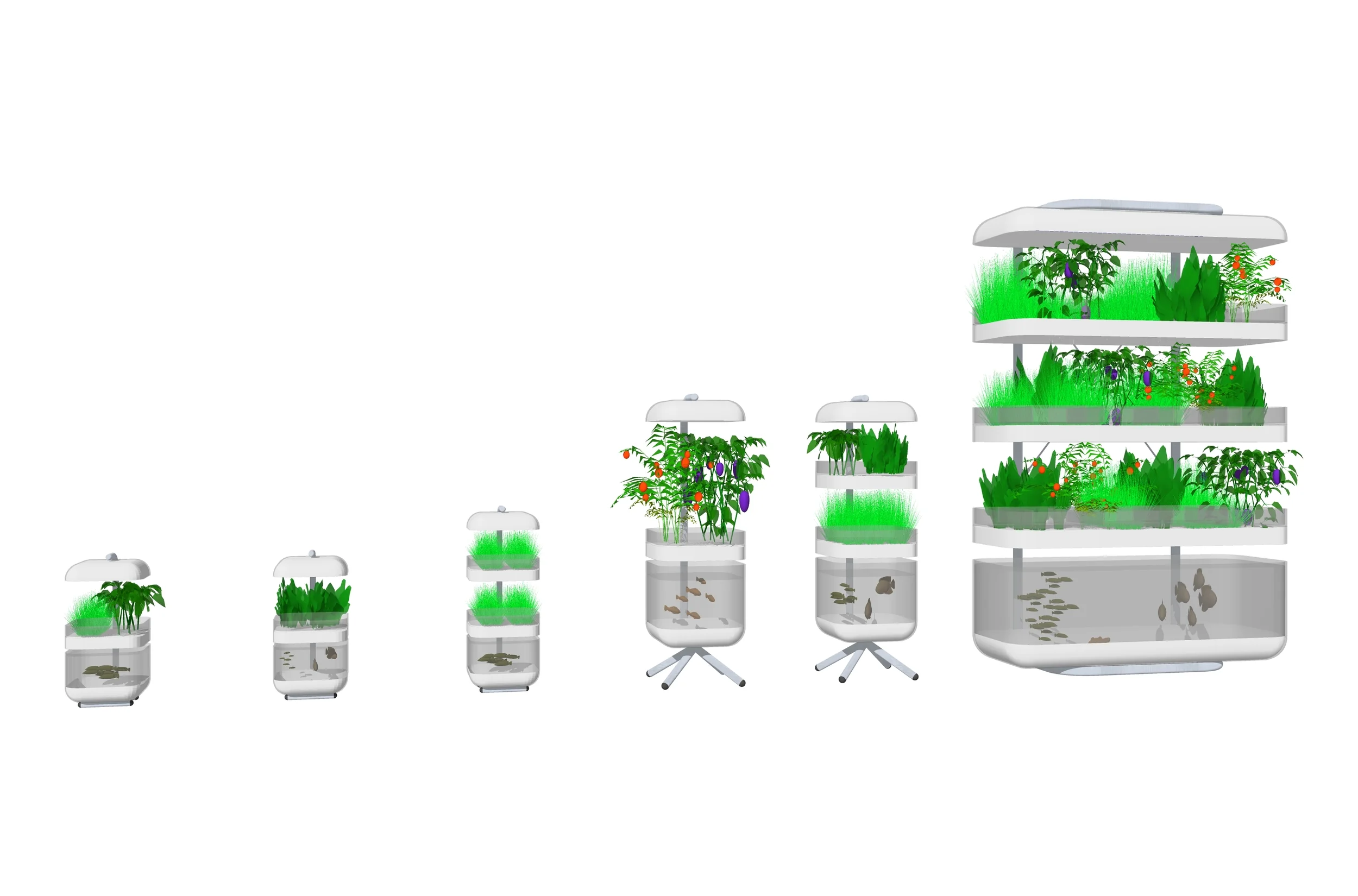 Aqua Garden