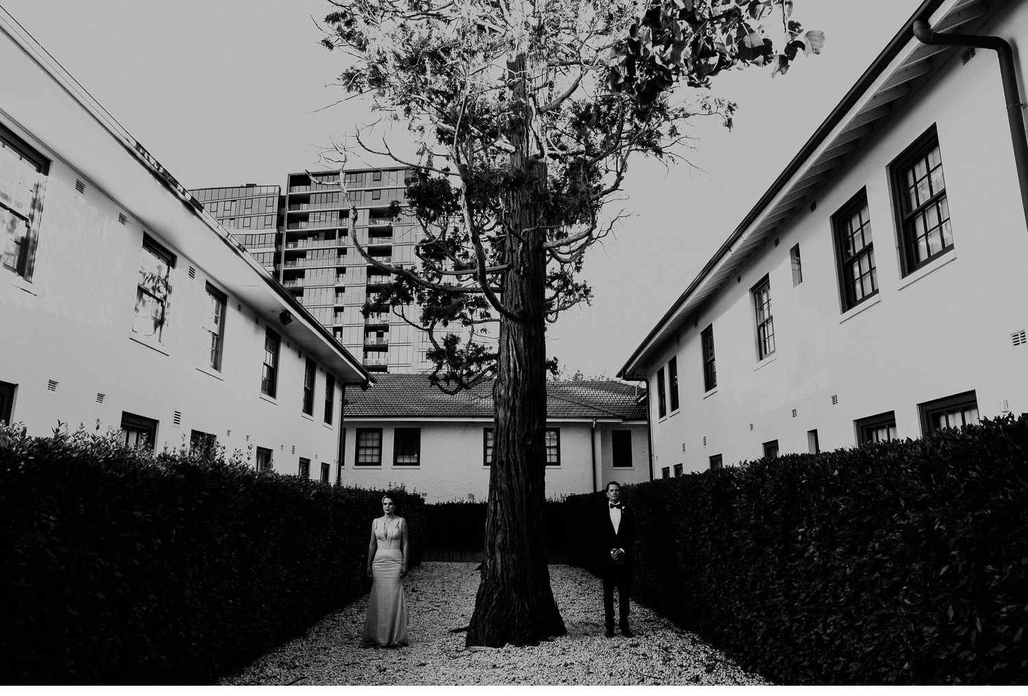 Morgan Roberts Photography_Wedding_nishi gallery hotel hotel_Jay and Lucy 3393.jpg