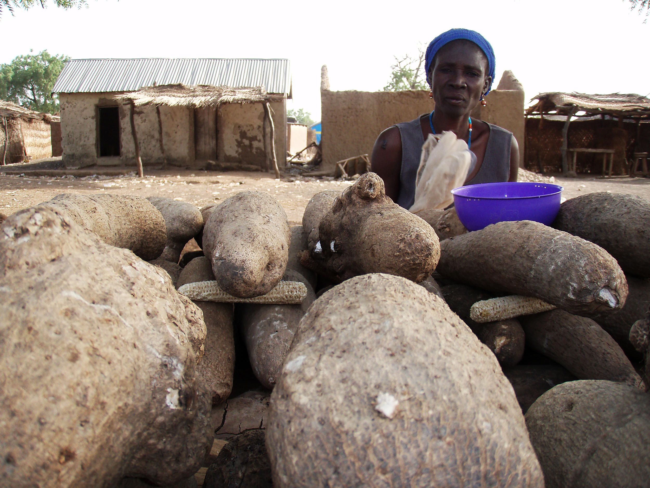 A woman sells yams along the highway in Sagbiebou, in northern Togo.