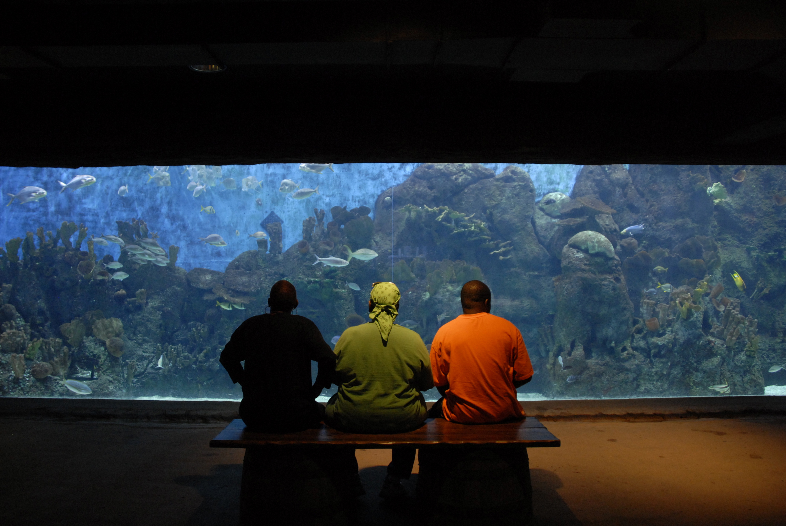 A family takes a break at the Cameron Park Zoo in Waco, Texas.