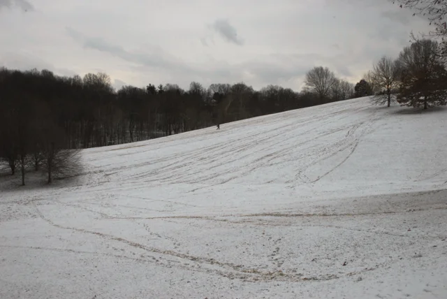Winter is made better by children sledding & strangers muttering, "Do they have to scream so loud."
