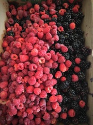 Picked lots of berries in early July between books 21 & 22.
