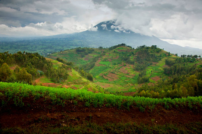 Blogpost1-landscape.jpg