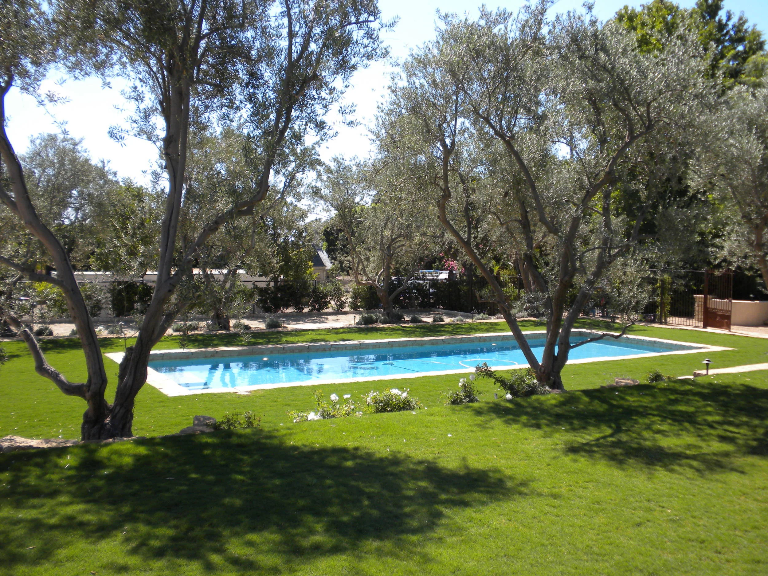 DSCN0642.JPG