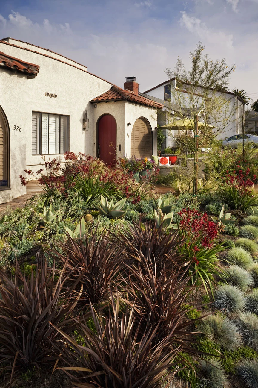 Plant material can often times take architecture and soften the edges and straight lines offering some curb appeal. Color and texture are important, yet choosing the correct plant type for the space is the goal for optimum growth and longevity.