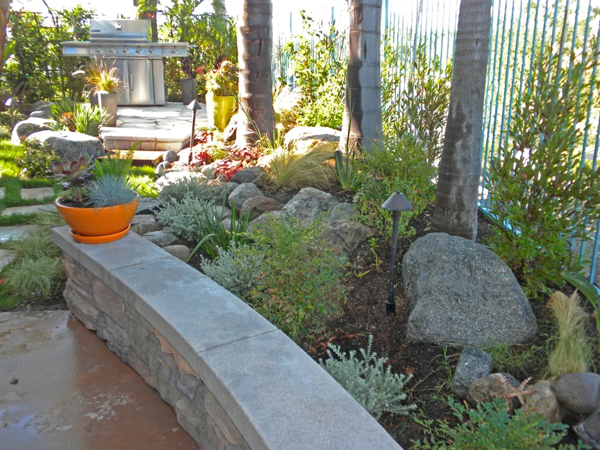 DSCN2956.jpg