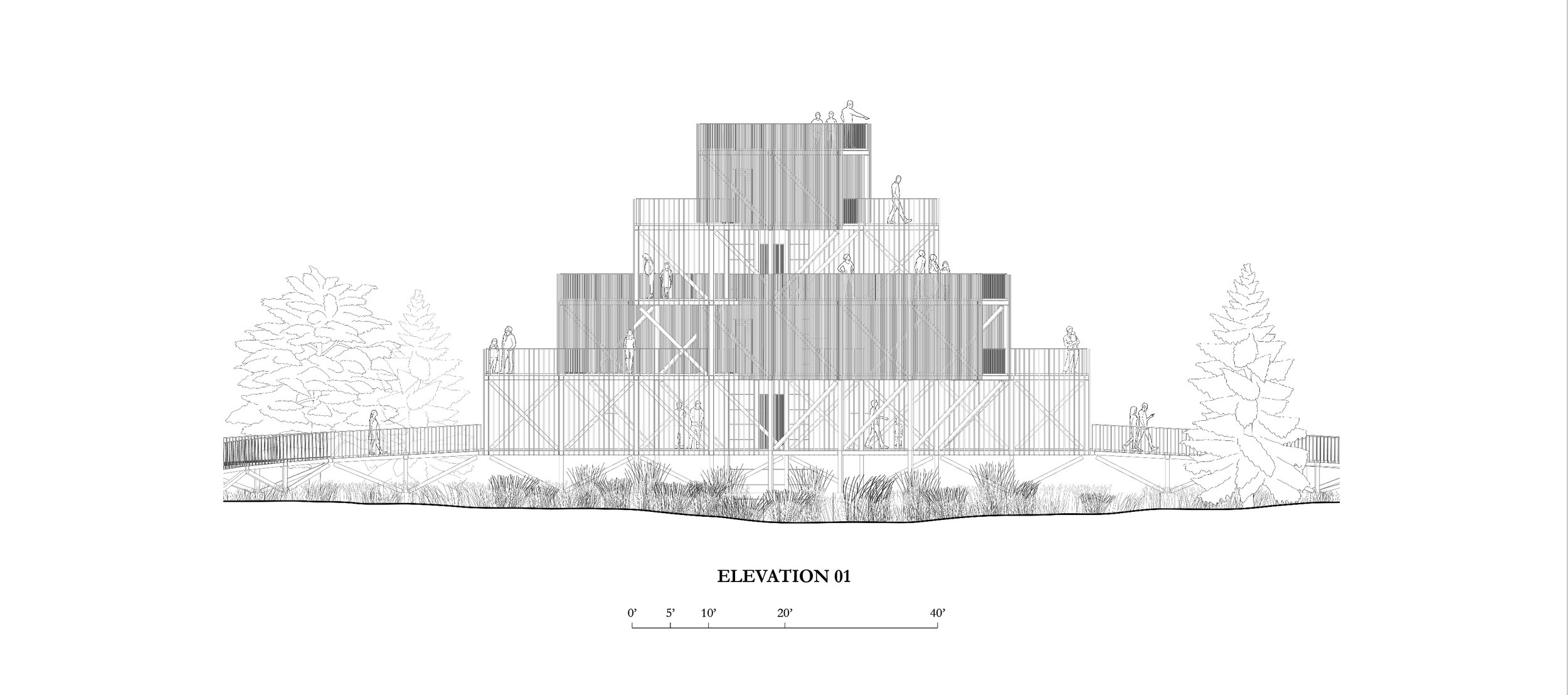 11_elevation.jpg