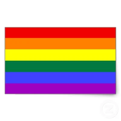 lgbt flag.jpeg