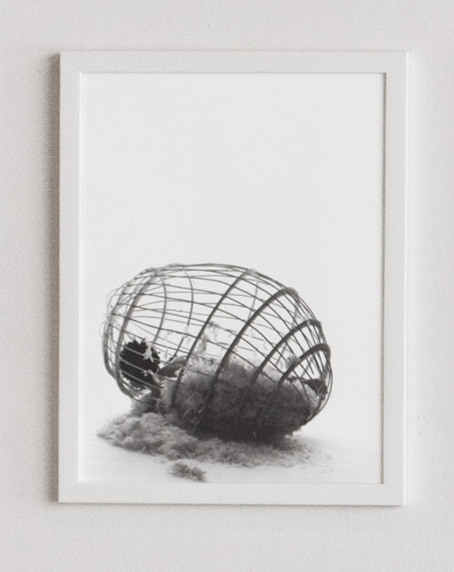 Nest , 2011 Stefanie Batten Bland in the first studio exploration of movement with the Egg Sculpture