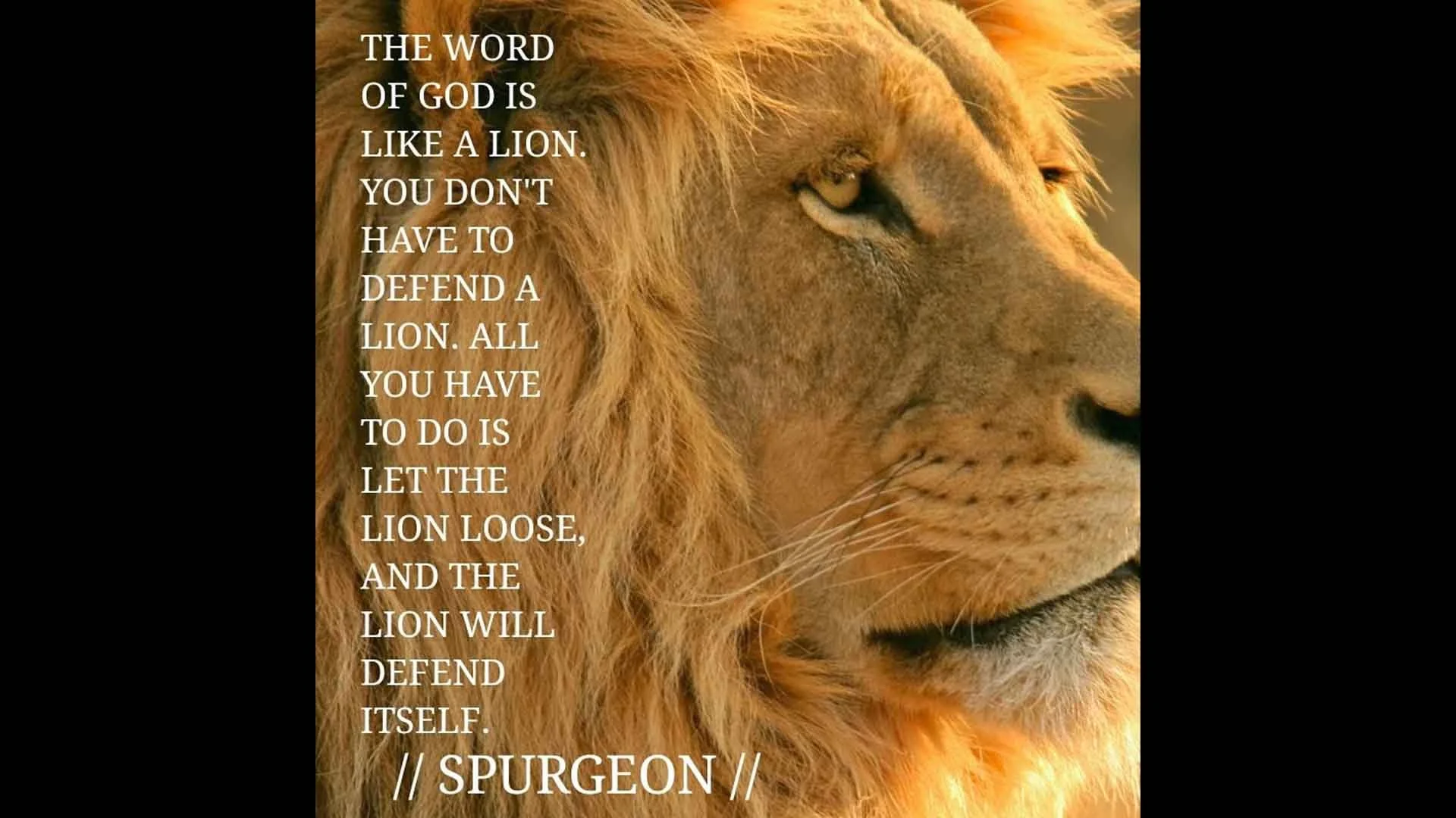 DD2227_CHUL59.jpg