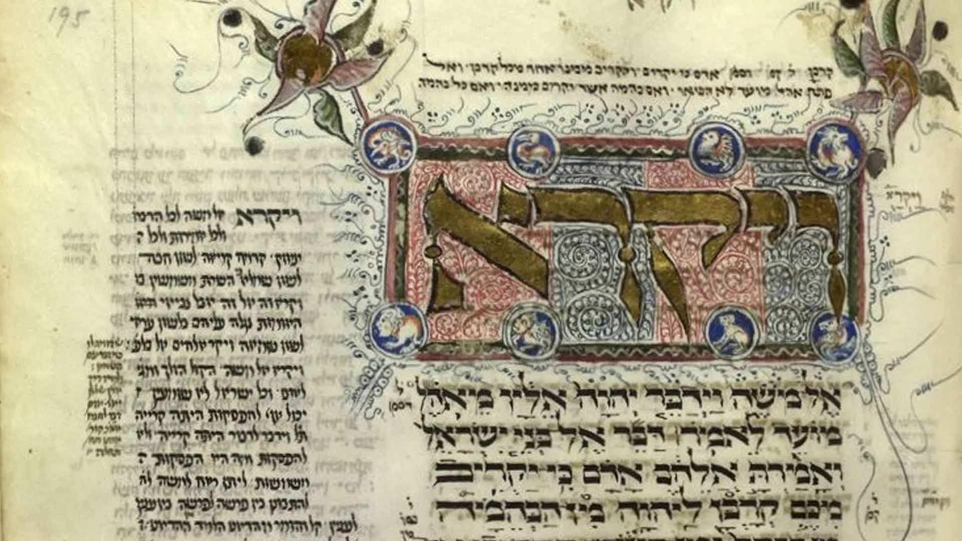 DD2031_ZEV89.jpg