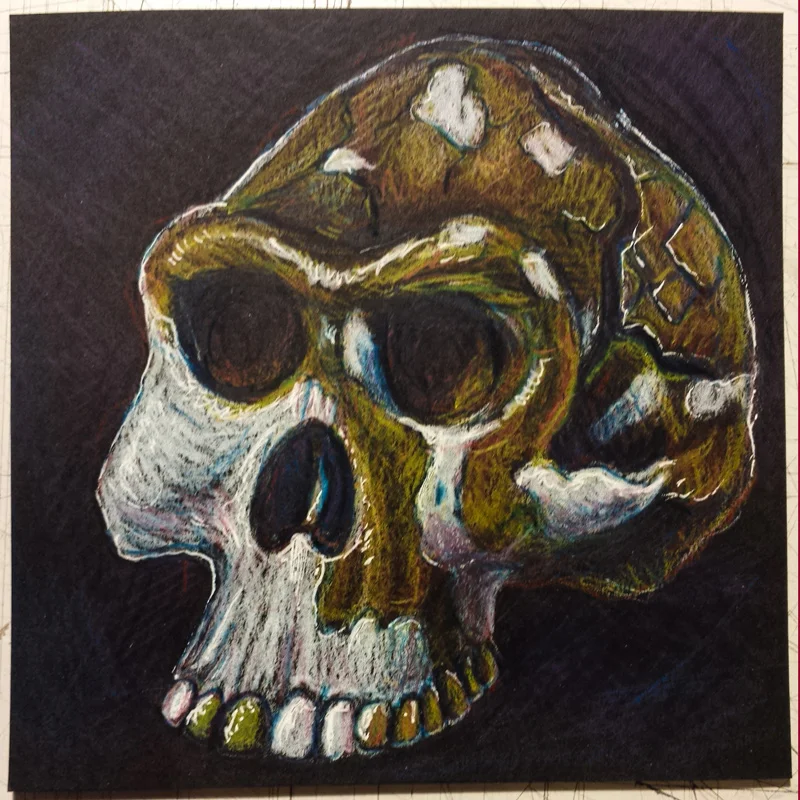 sketchbook-november-skull.jpg