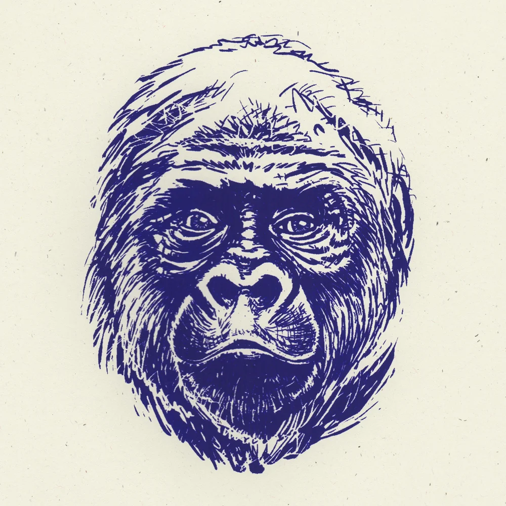 Personal Project Medium: Pencil, Photoshop, Screen Printing