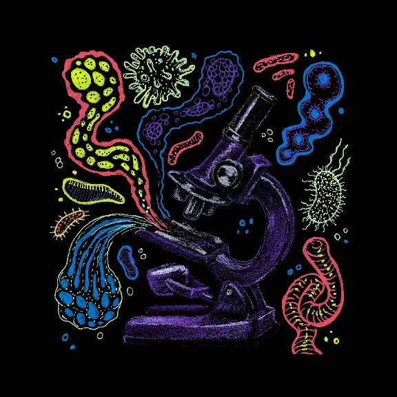 Microscope.jpg