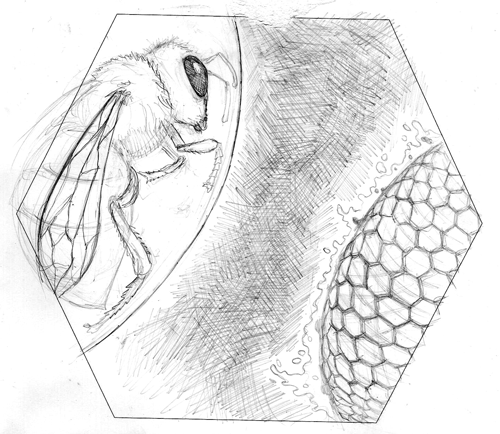 Once I hit on the Spacebee idea the final design started to take shape pretty quickly. You can see a couple typography explorations in this animated gif.