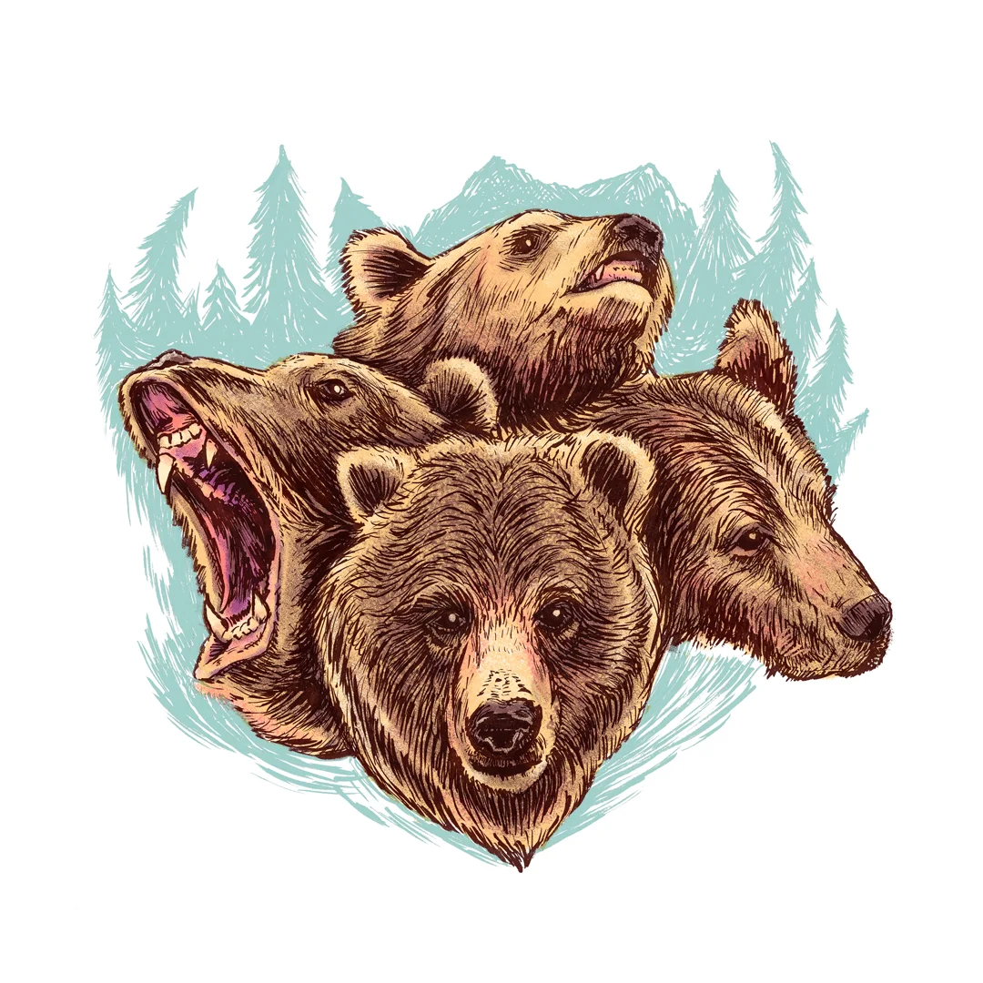 Four Bears