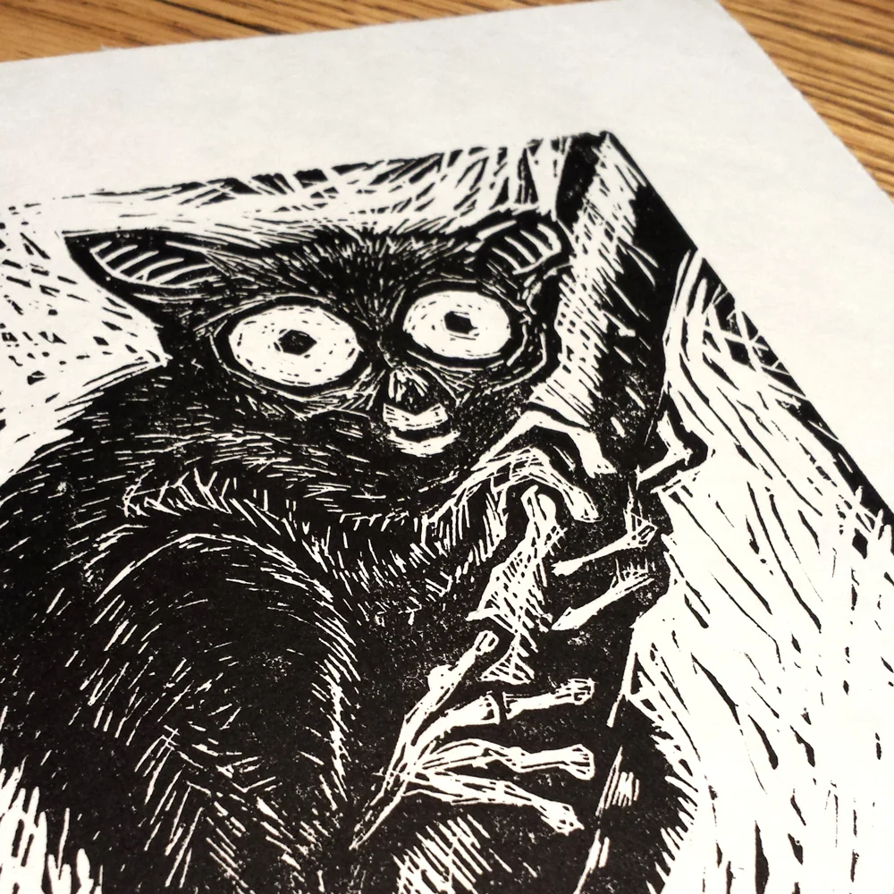 Tarsier-White-Closeup.jpg