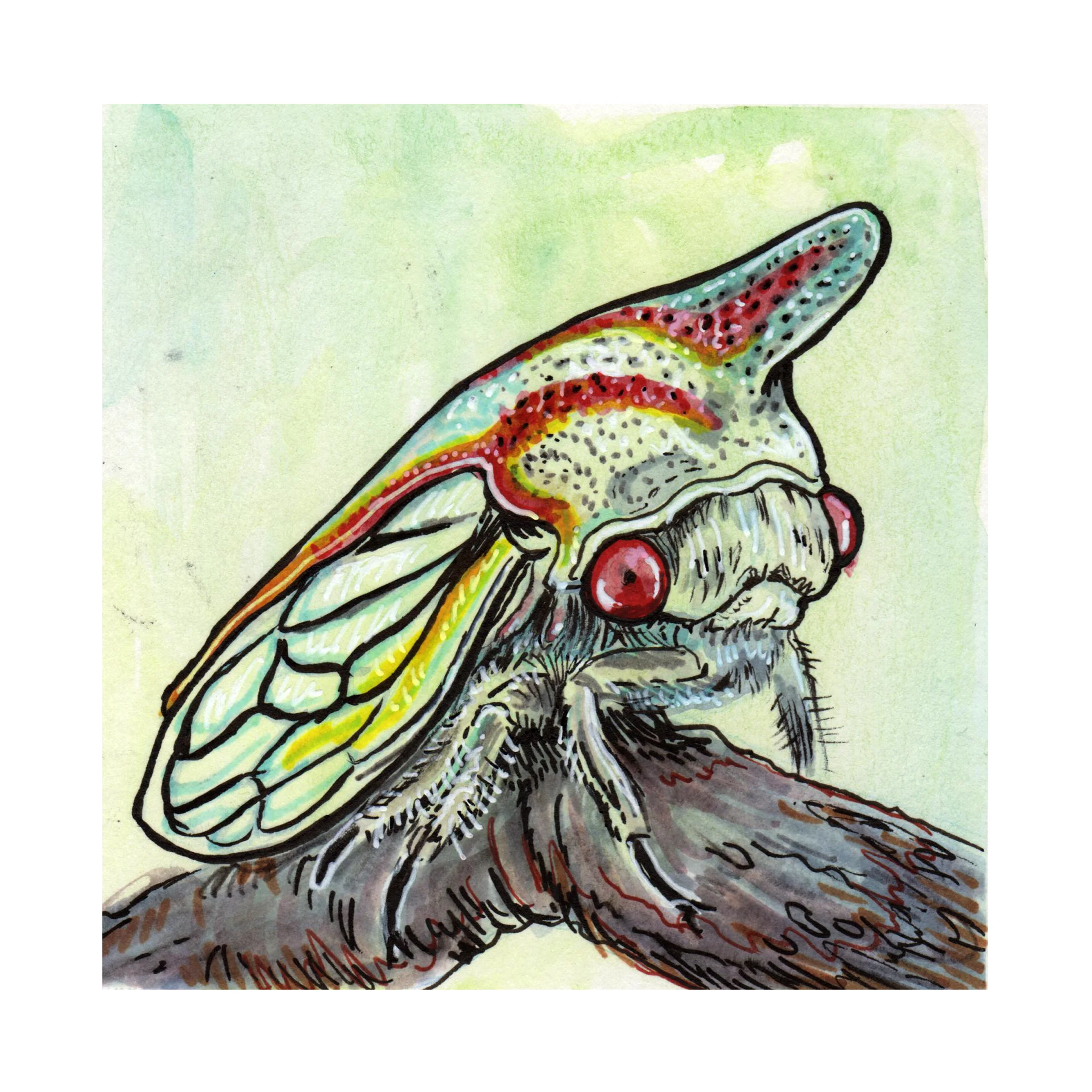 day01-oaktreehopper.jpg