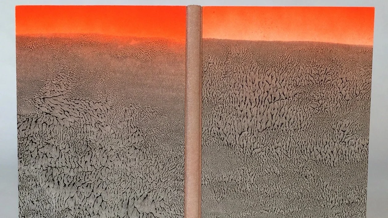 Colour Out of Space artist's book