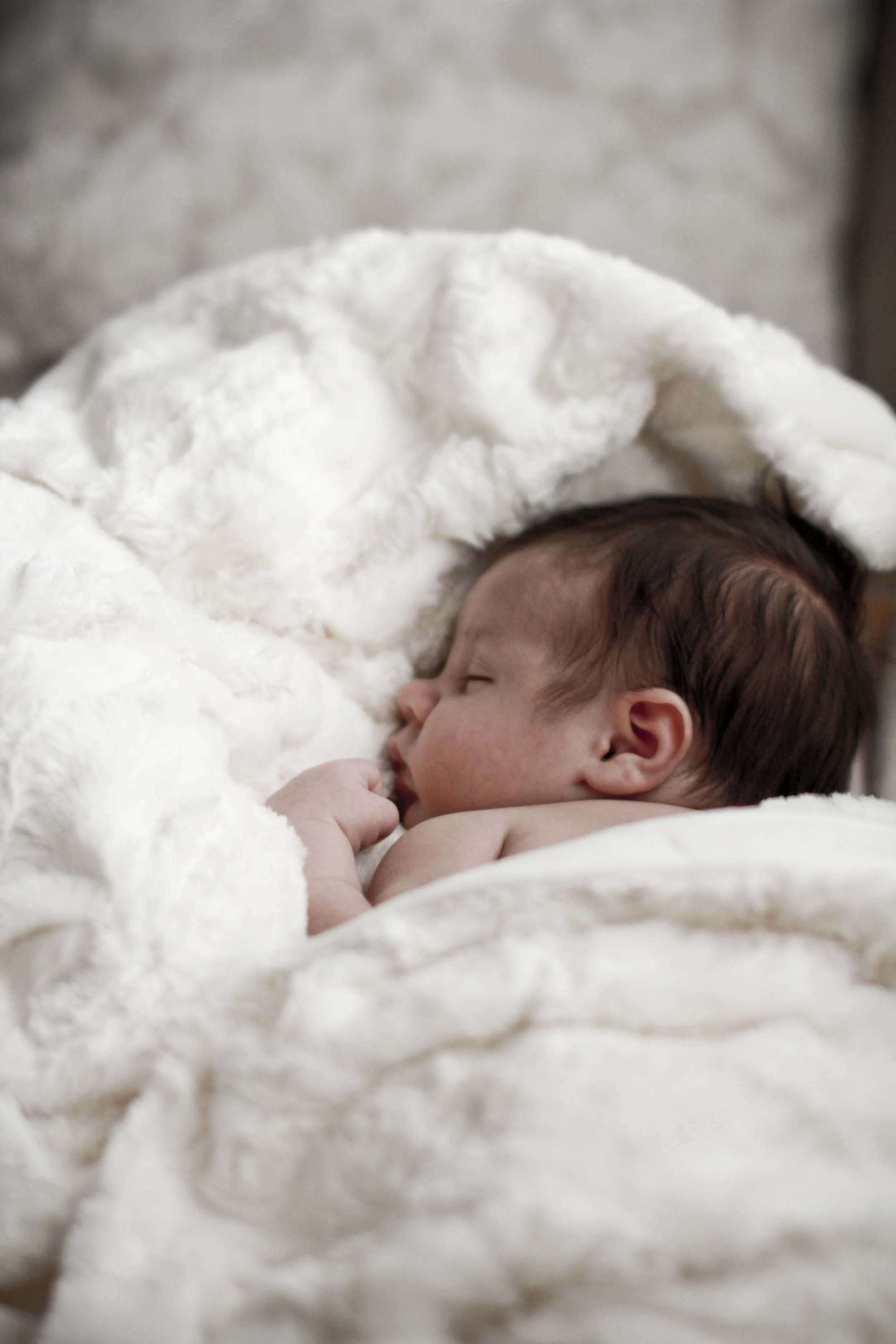 rachelmagreephoto_204.JPG
