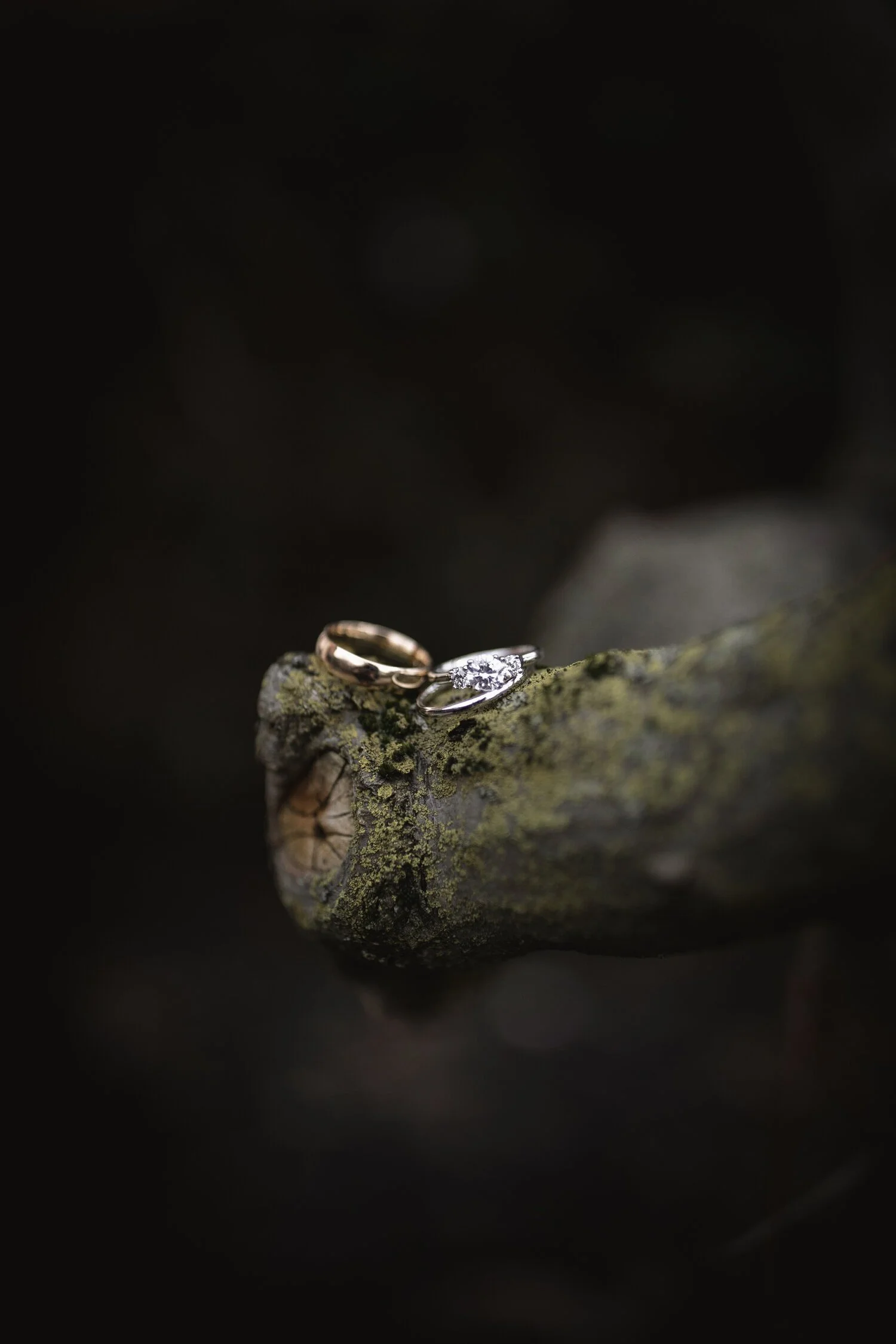 Courtney + Brendan :: Wedding Photography, Columbus, Ohio