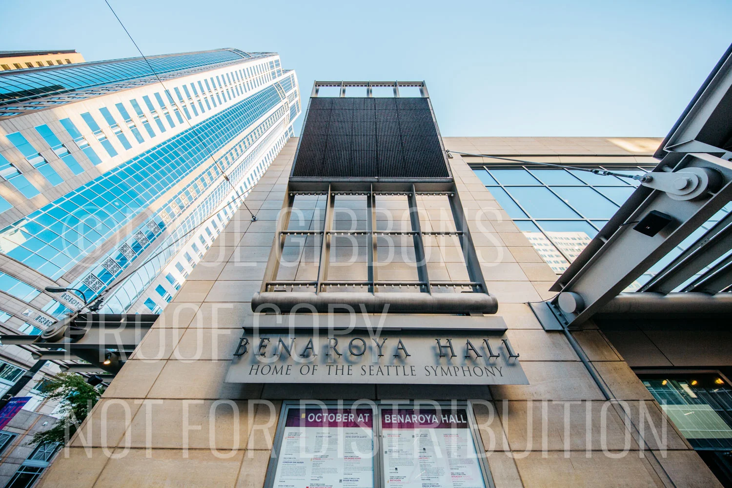 Benaroya Sample-38.jpg