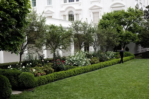 3582757247_27e41bdcbc_white_house_rose_garden(1).jpeg