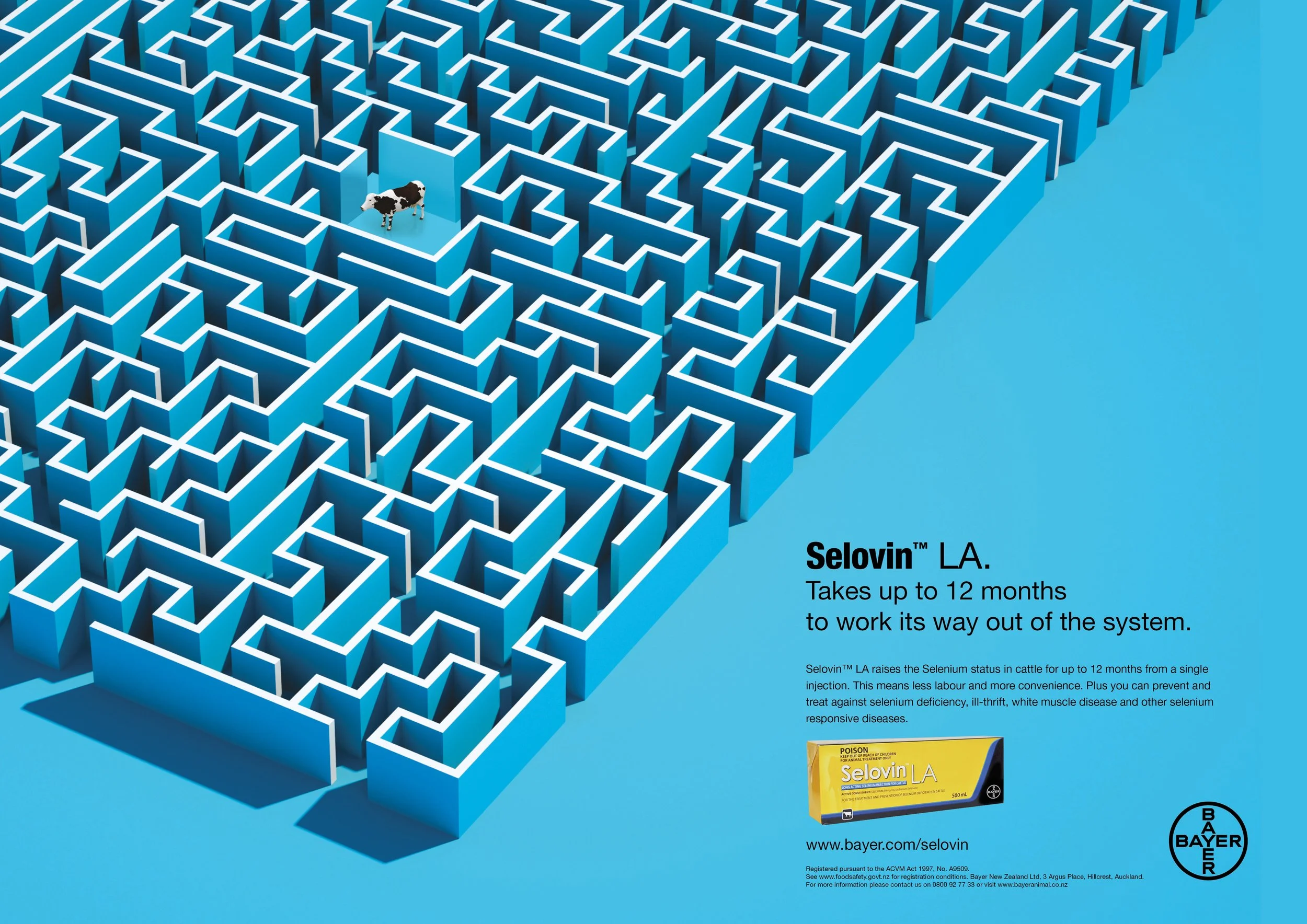 PAR_0096_2024 Portfolio9.jpg