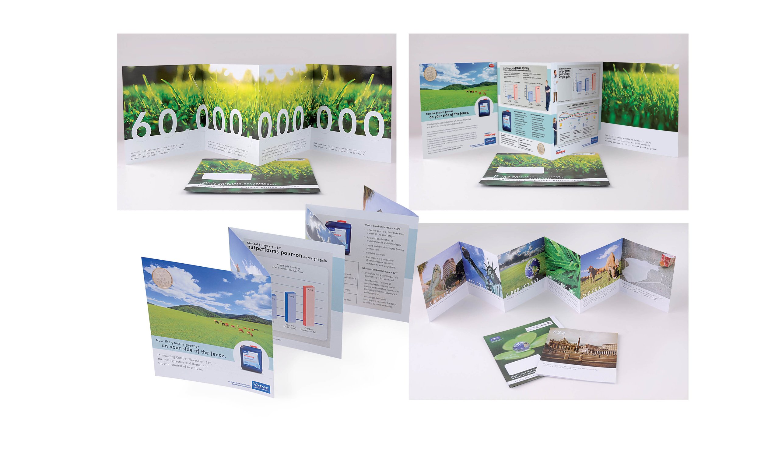 Various promotional and informational brochures and pamphlets displayed in a tri-fold layout, featuring images of landscapes, graphs, and text about products and services.