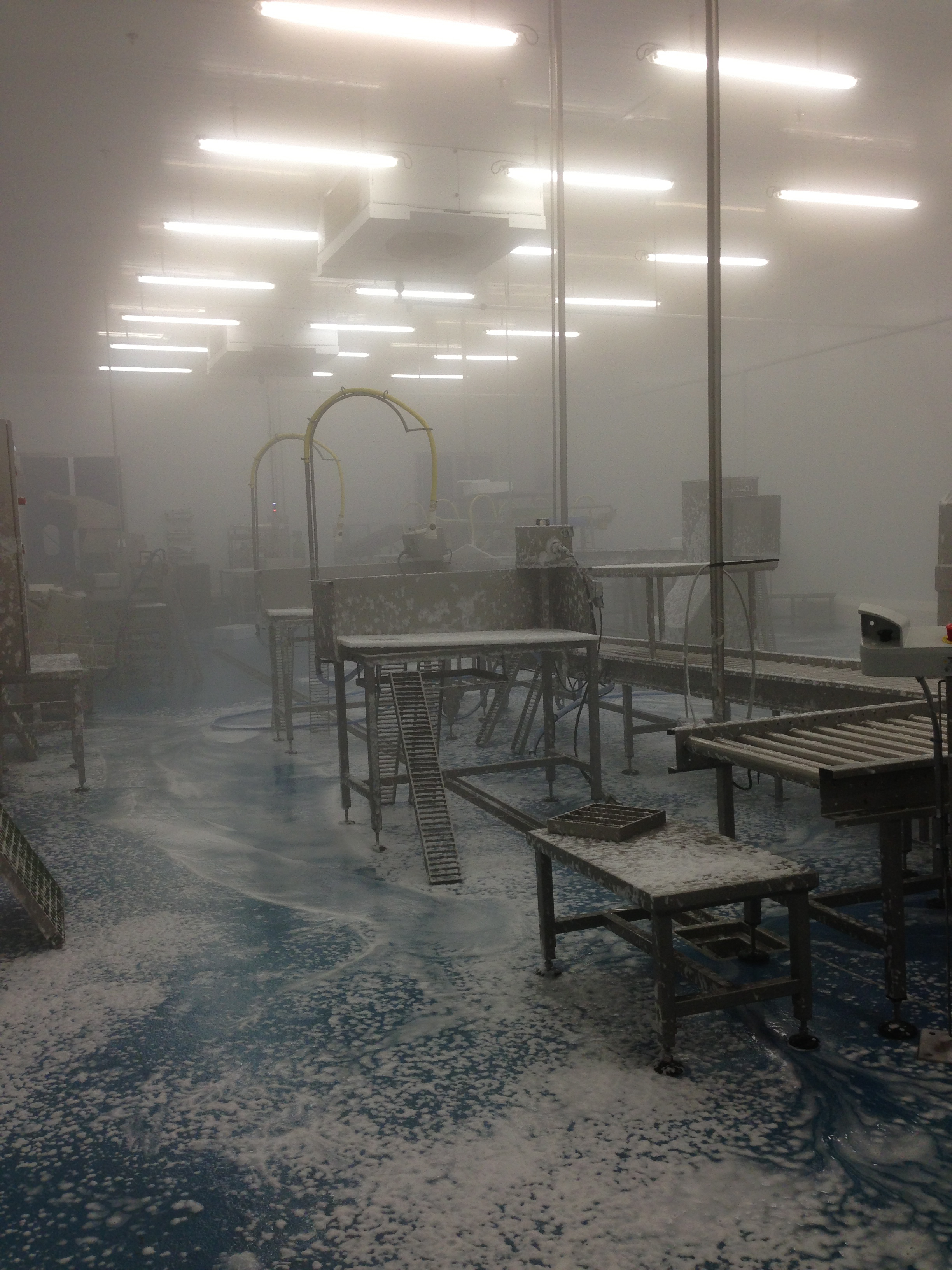 When we passed through the fish hall they were in the middle of cleaning up. This is where they filet the products.