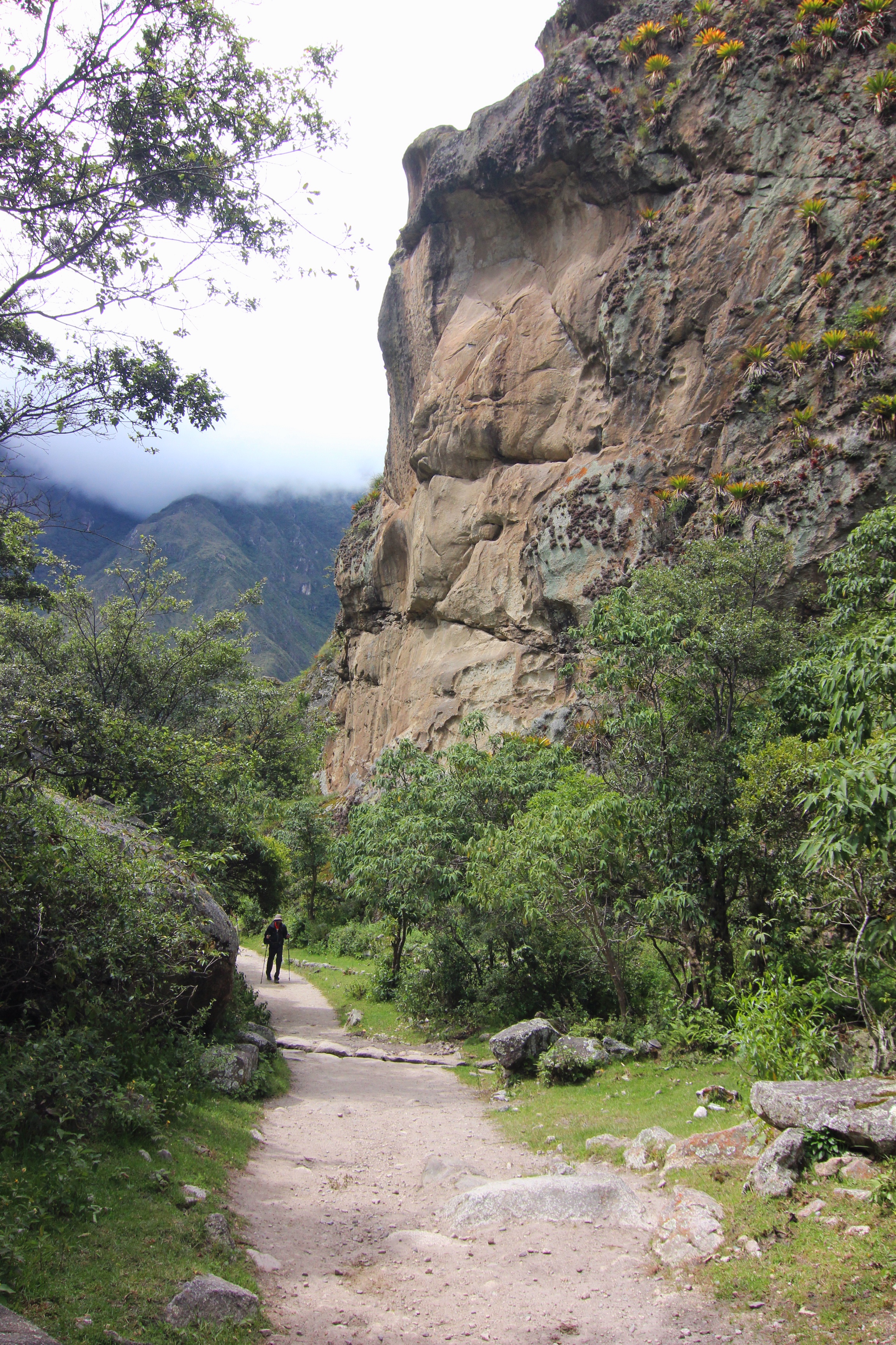 Trail near the lunch spot.