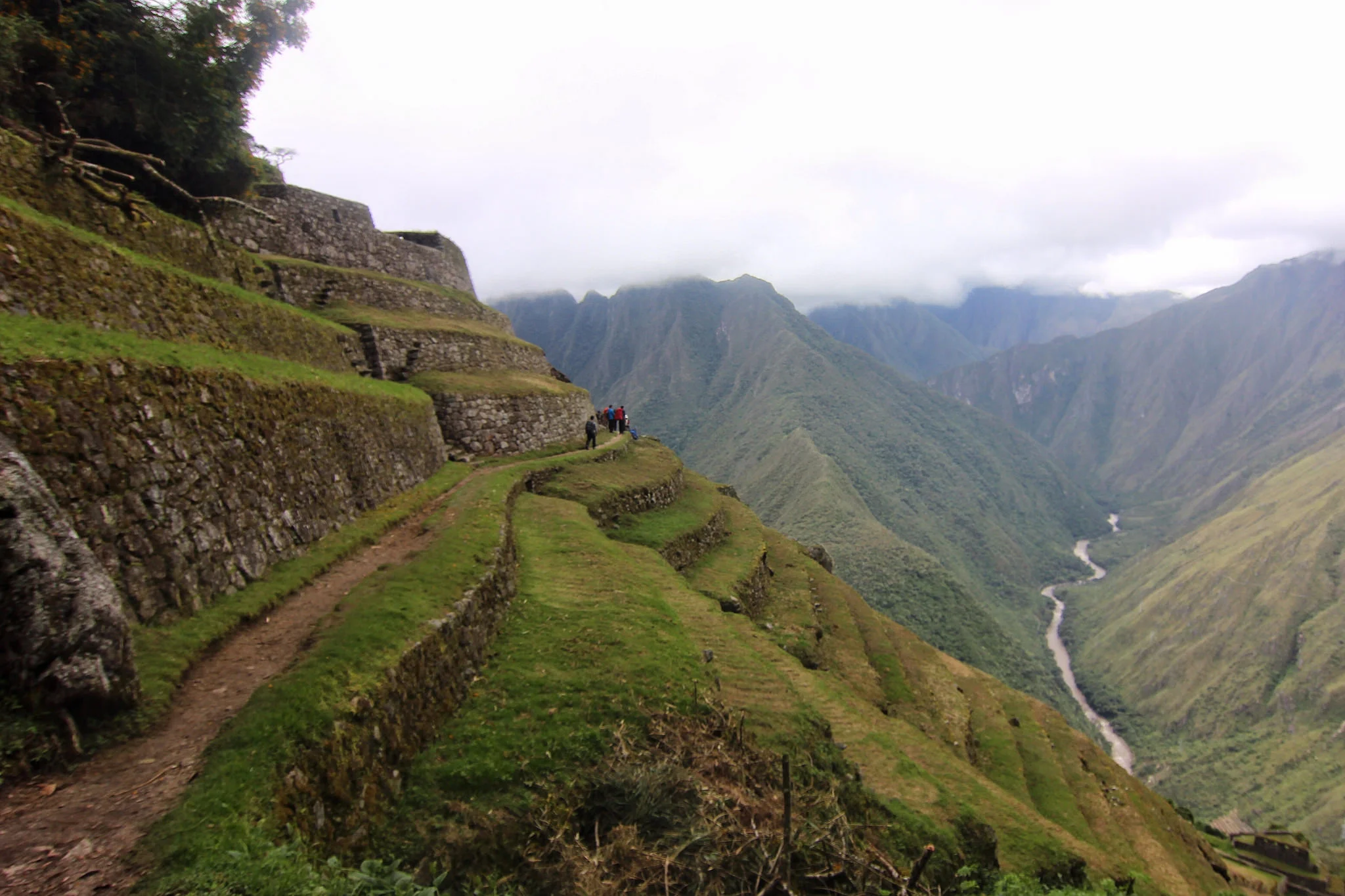 The terraces of Intipata.