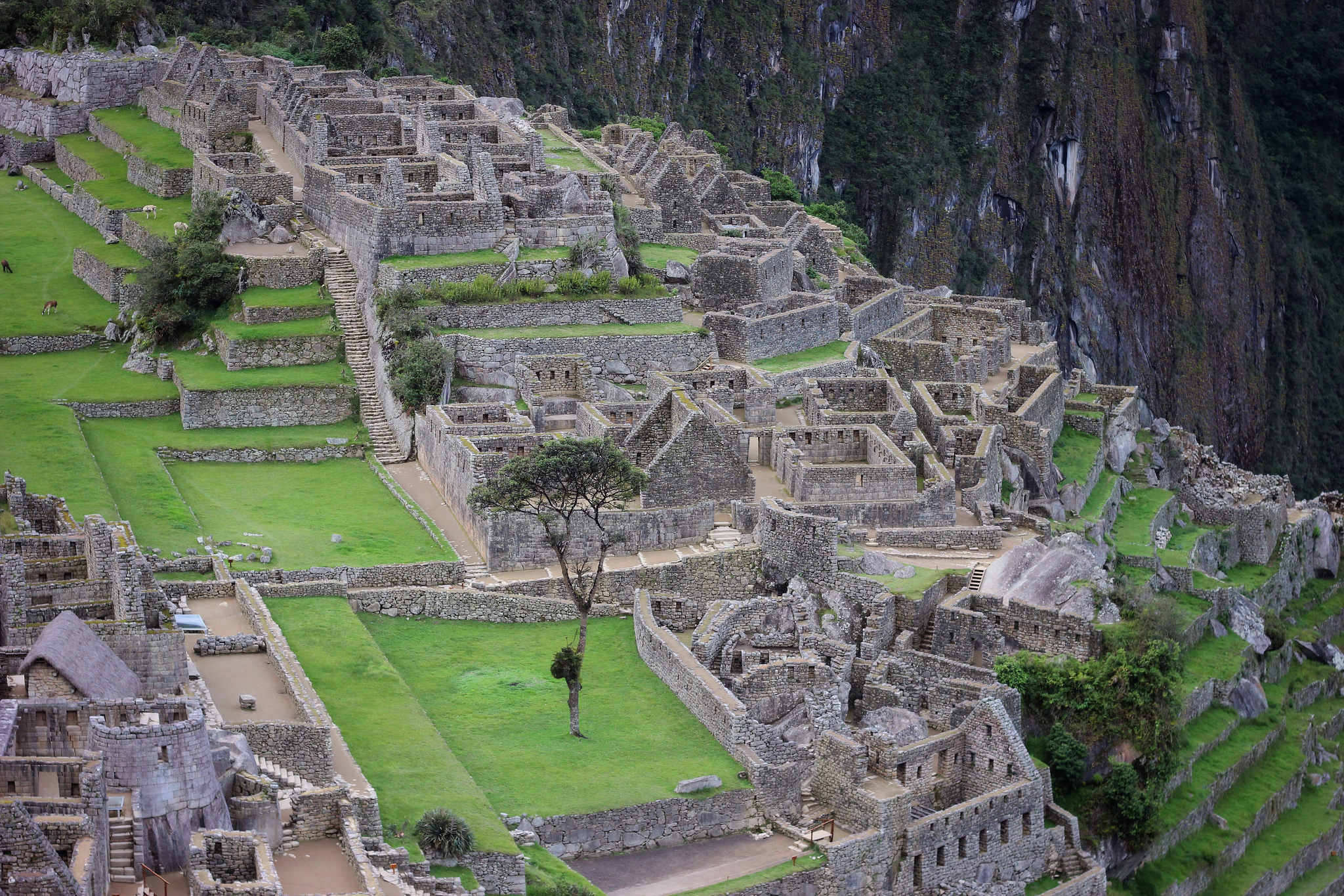 Empty Machu Picchu.