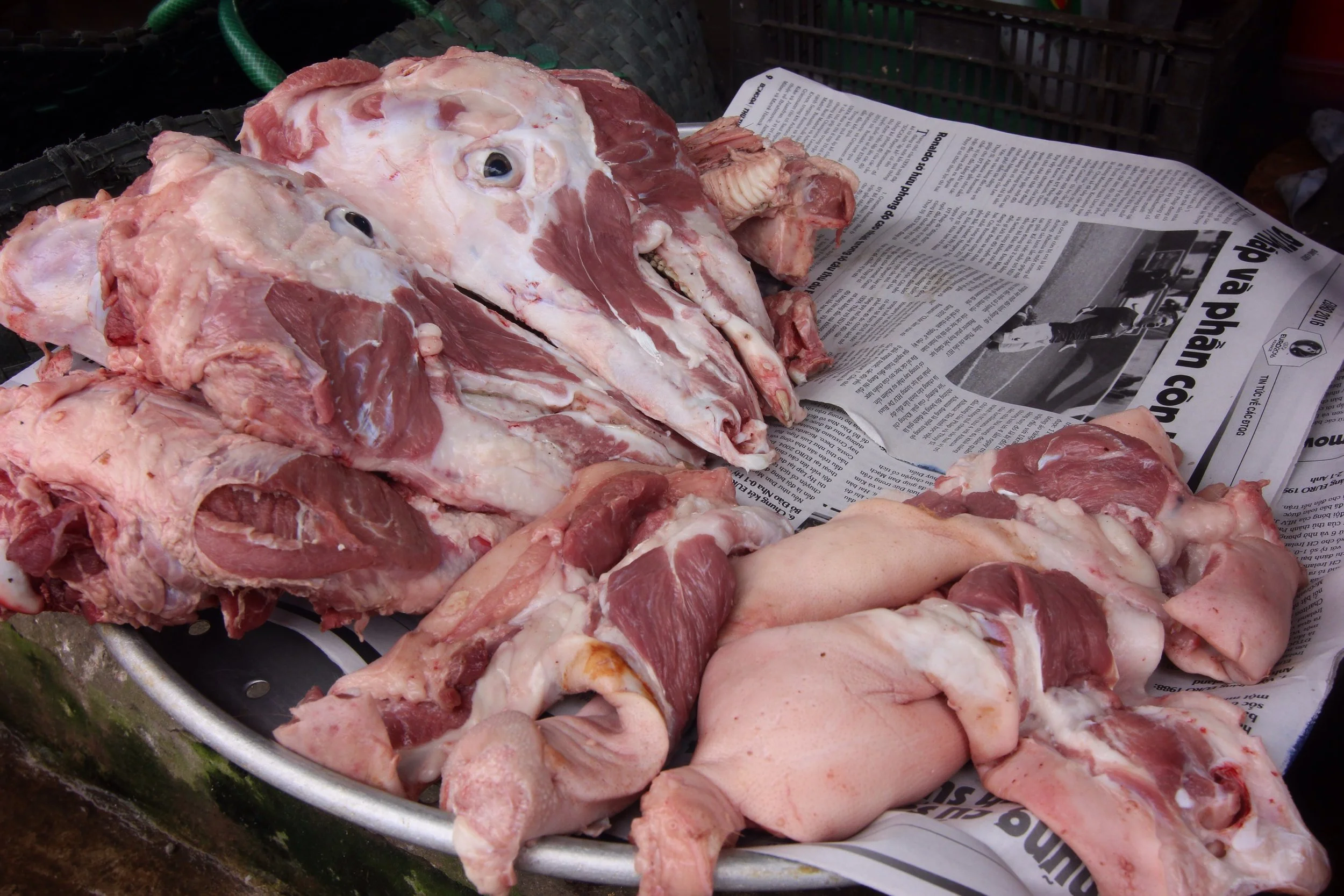 Sheep's(?) head.