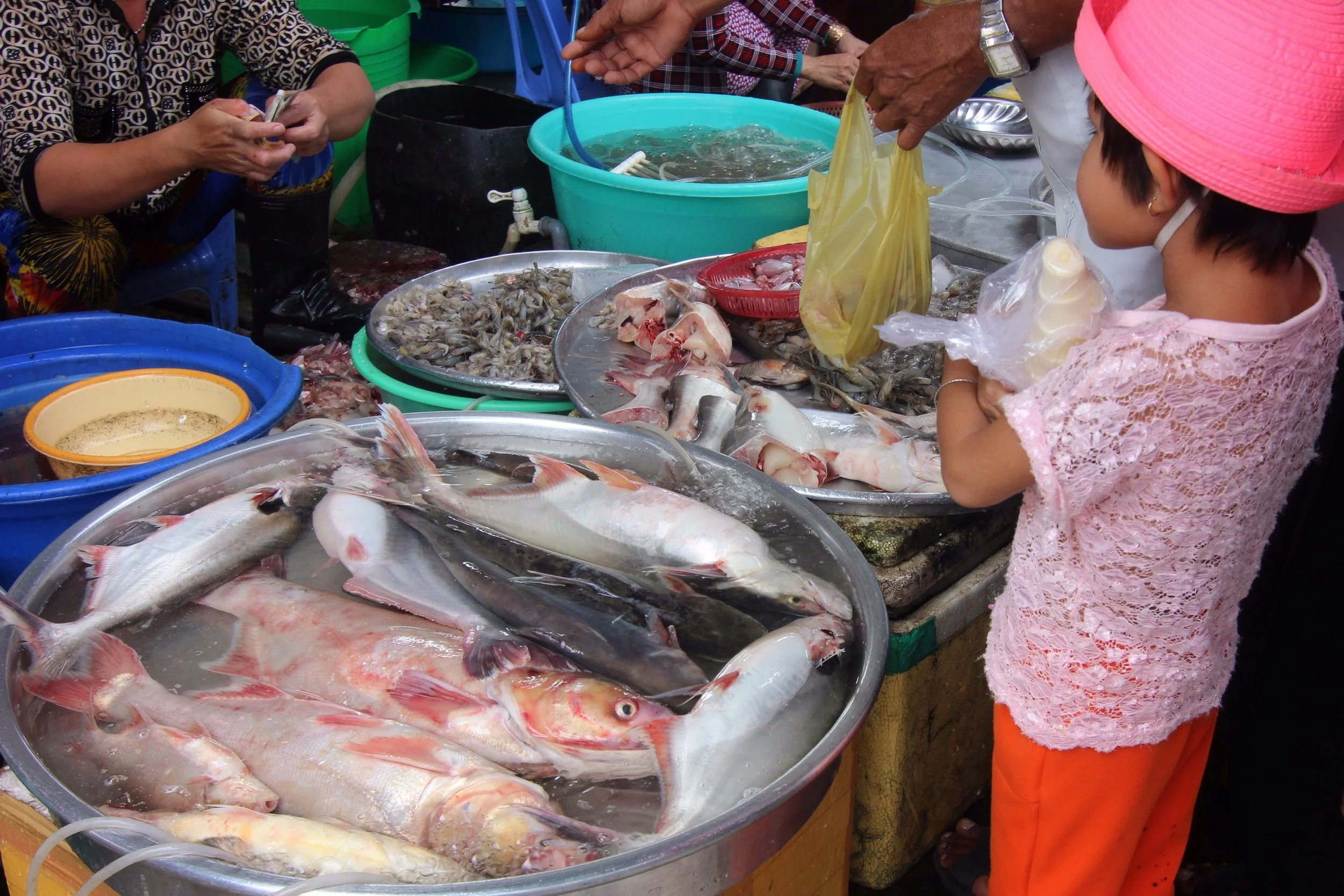 Little girl accompanying a parent on a shopping excursion.