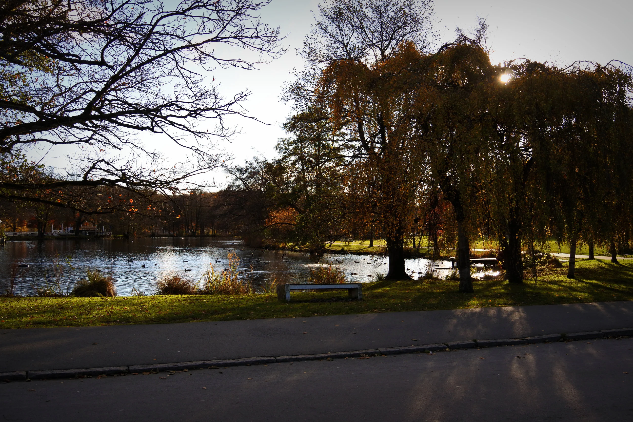 Slottsskogen - think a Swedish version of Central Park. 