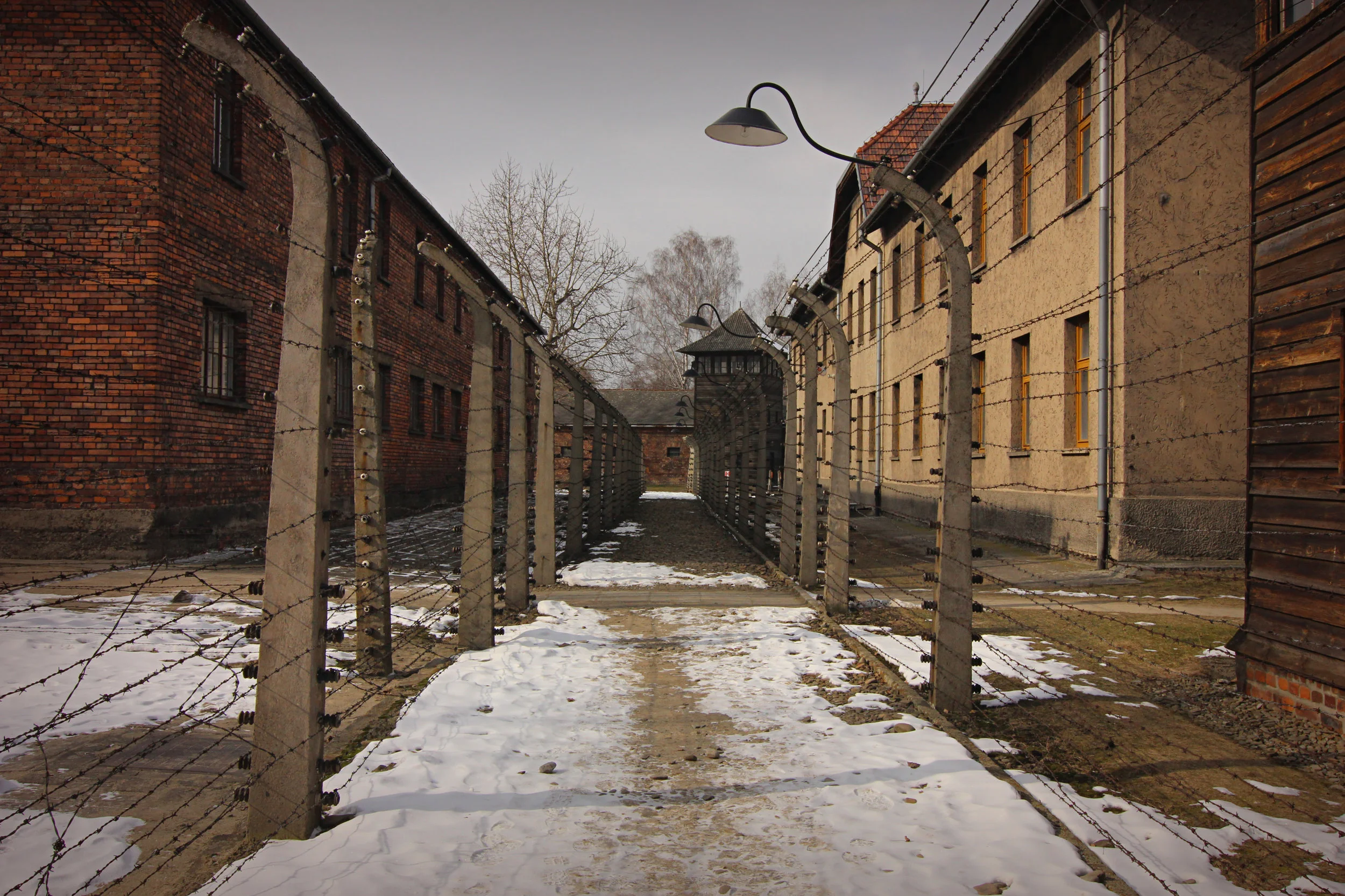 Fences around the perimeter.