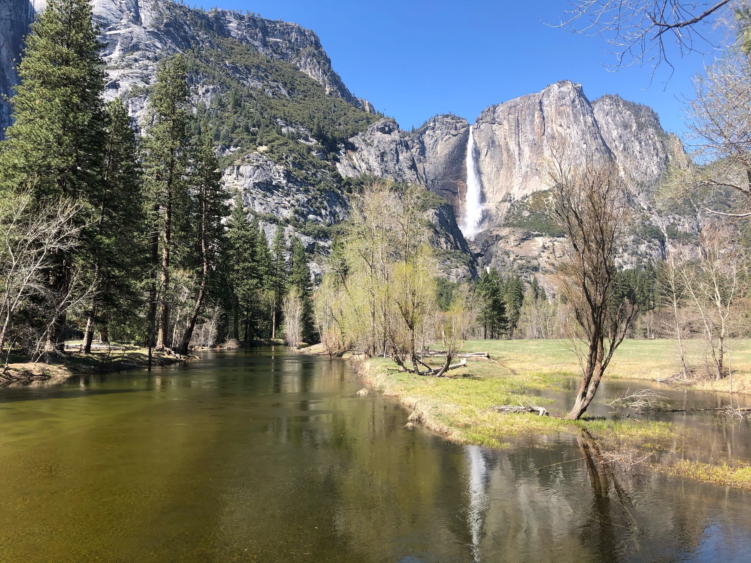 Spring 2021 Yosemite Falls and Merced River