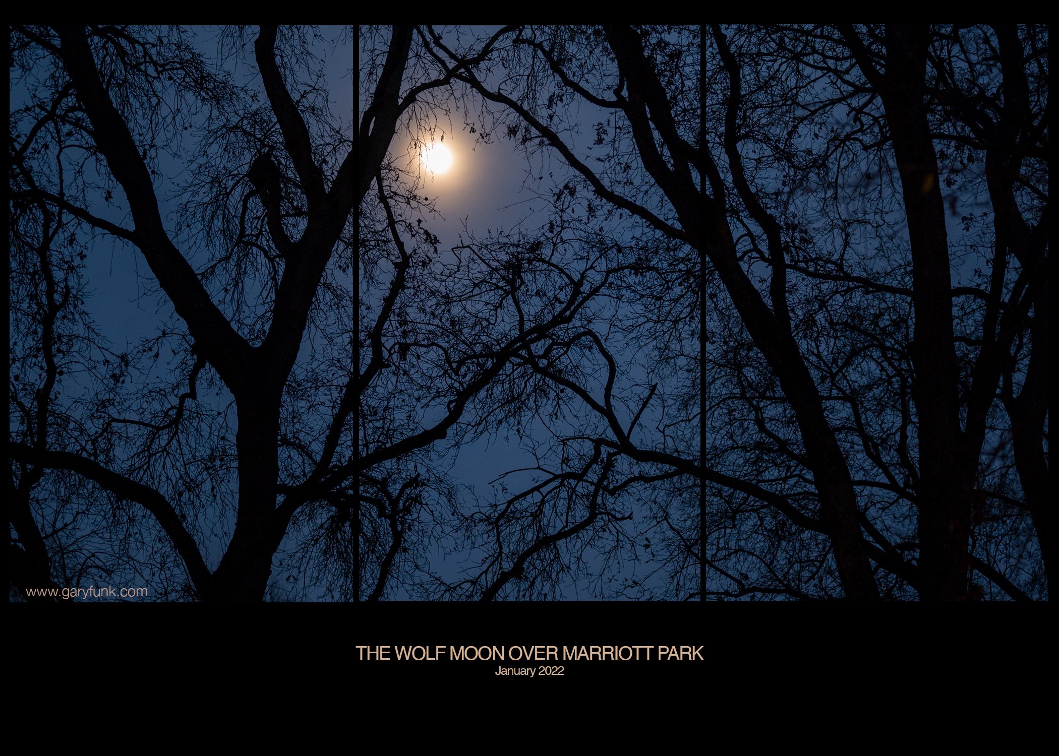 Wolf Moon over Marriott Park — January 2022
