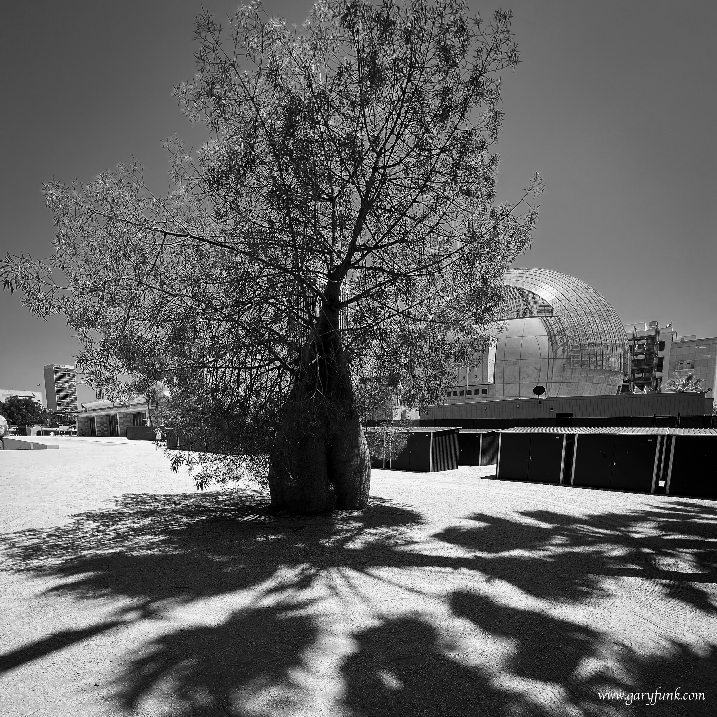 Los Angeles County Museum of Art