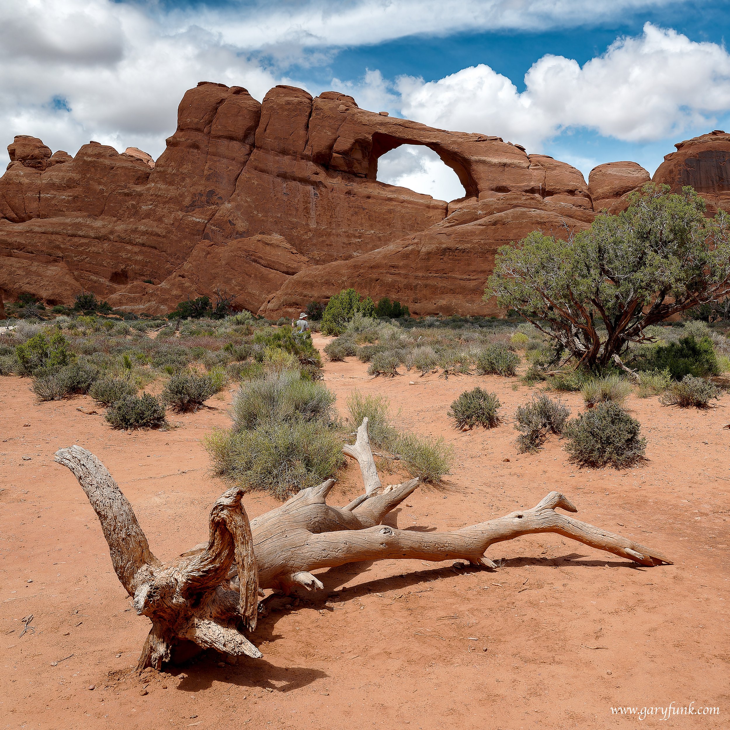 Arches National Park