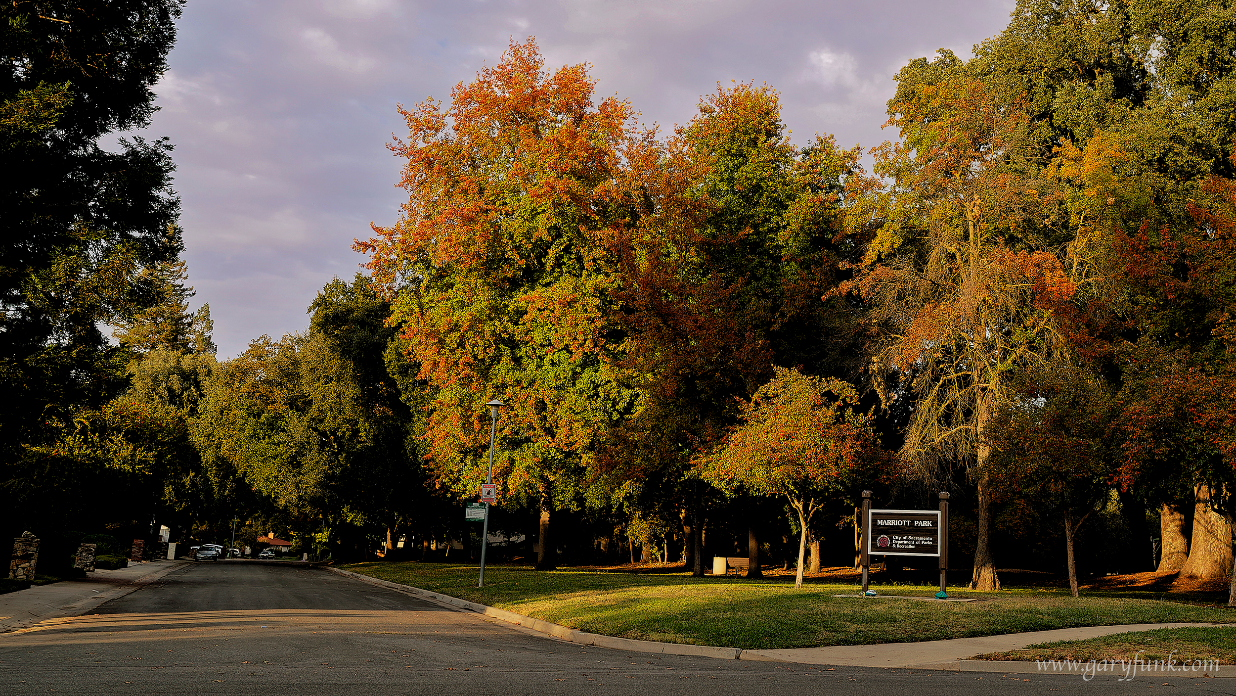 Fall colors